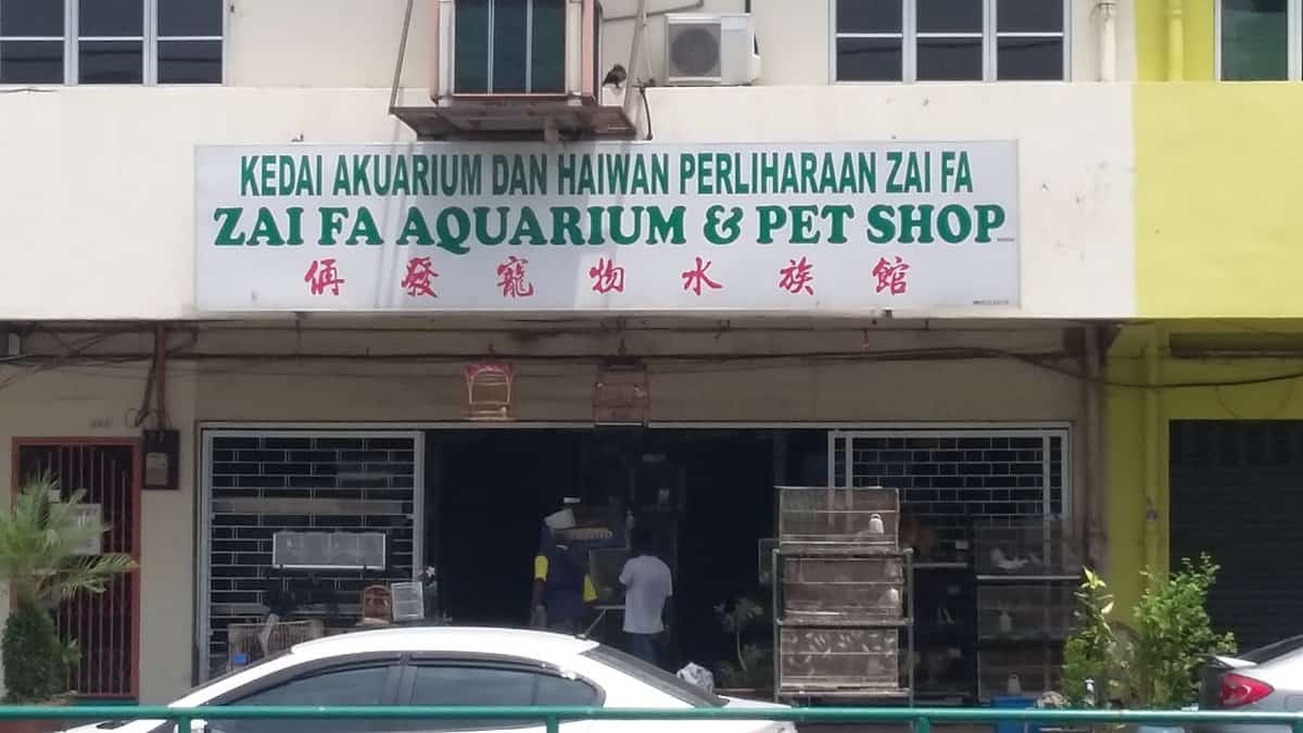 Zai Fa Aquarium & Pet Shop Kedai Aquarium Perak